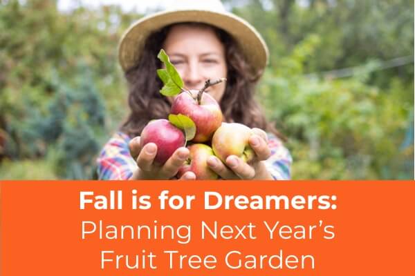 Fall is for Dreamers: Planning Next Year’s Fruit Tree Garden