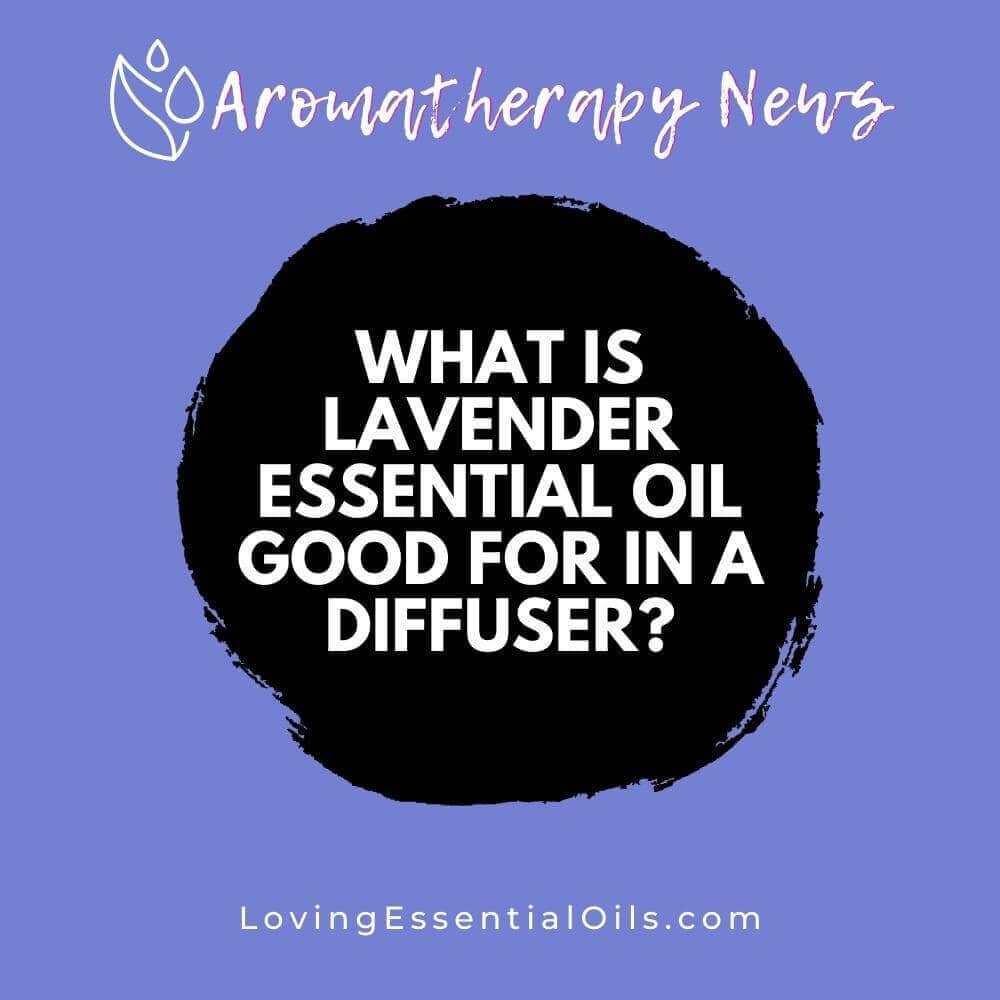 What is Lavender Essential Oil Good for in a Diffuser?