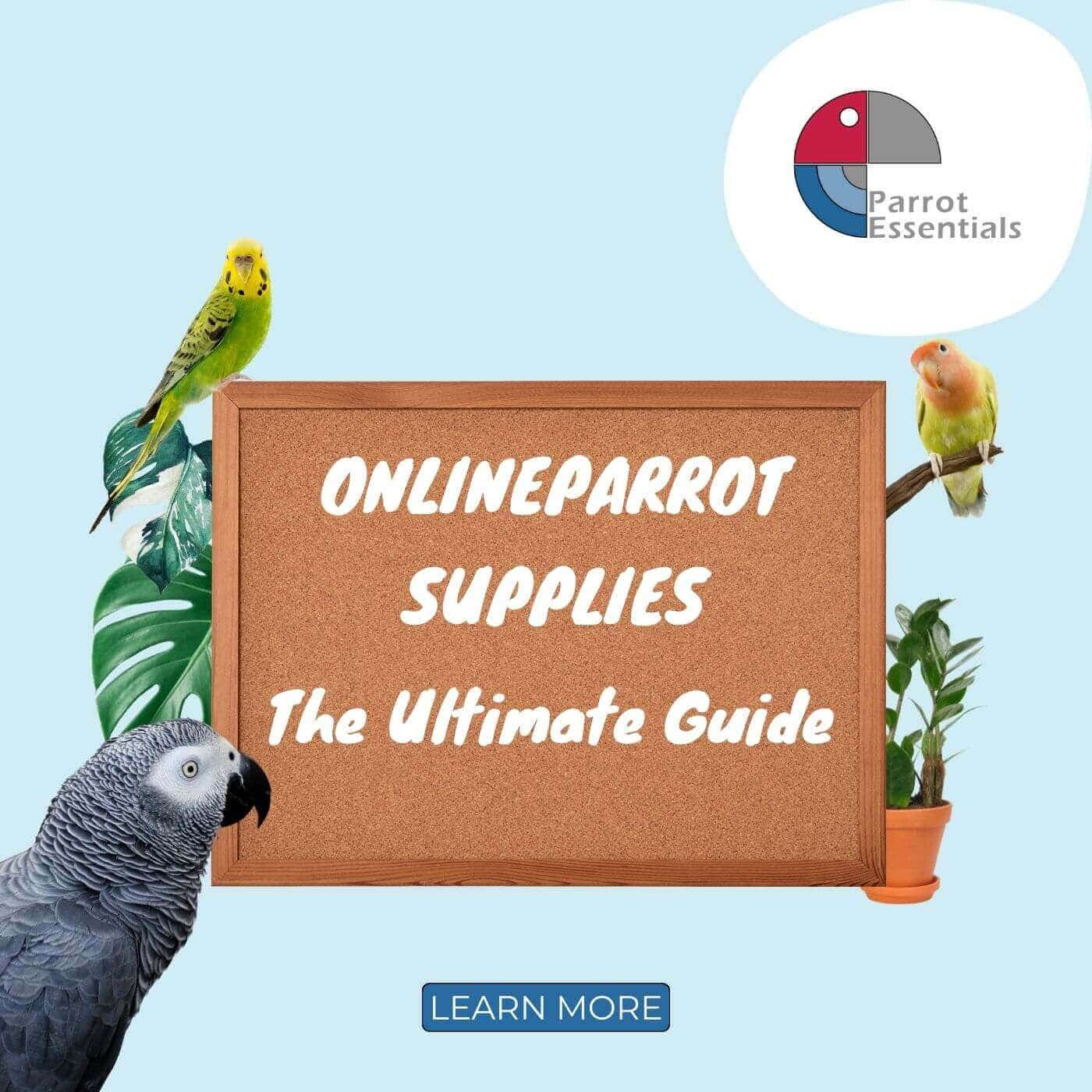The Ultimate Guide to Online Parrot Supplies: Ensuring Optimal Nutrition for Your Feathered Friend