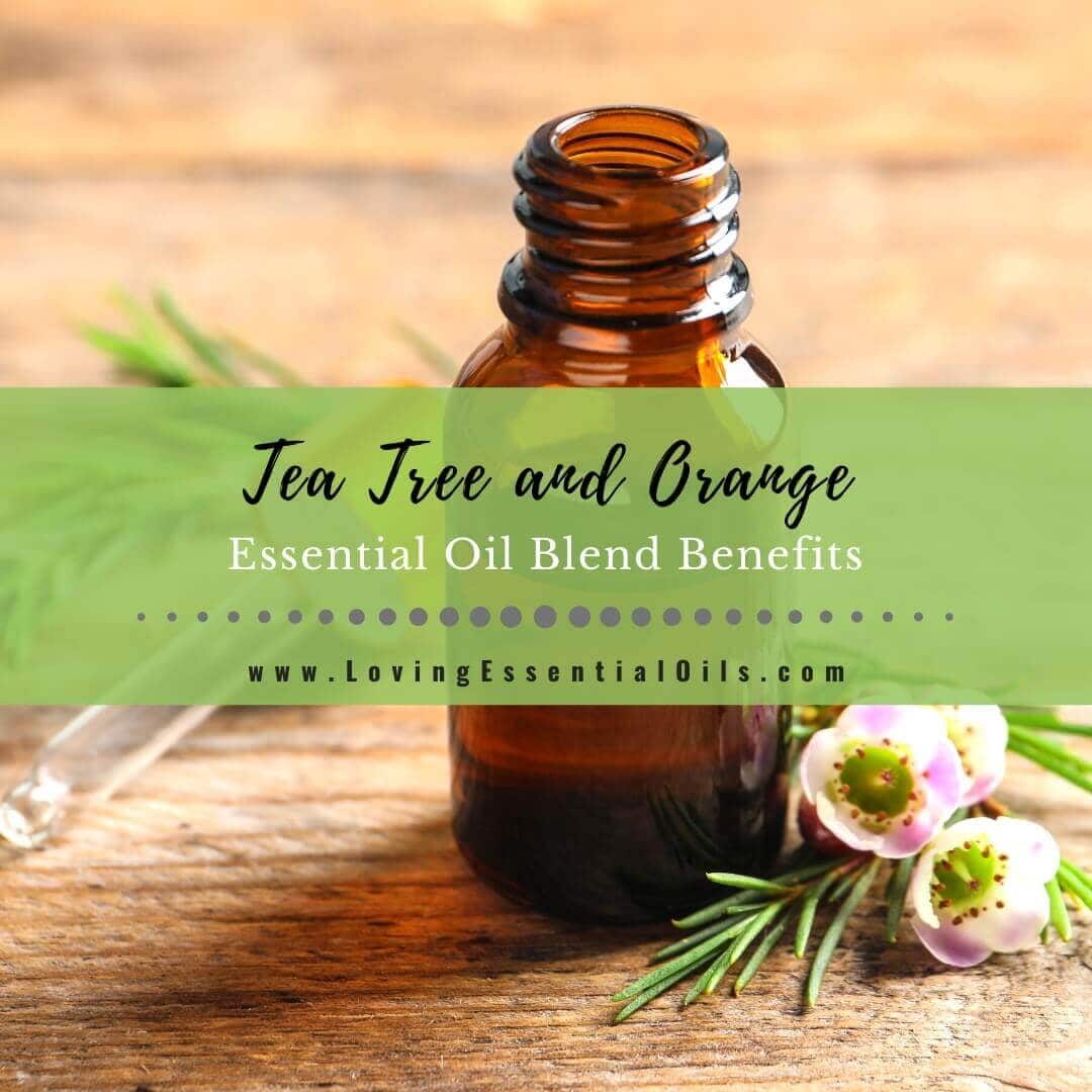 Tea Tree and Orange Essential Oil Blend: Uses + 7 Easy Recipes