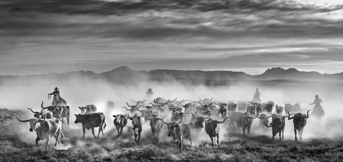 DAVID YARROW | NEW WORKS