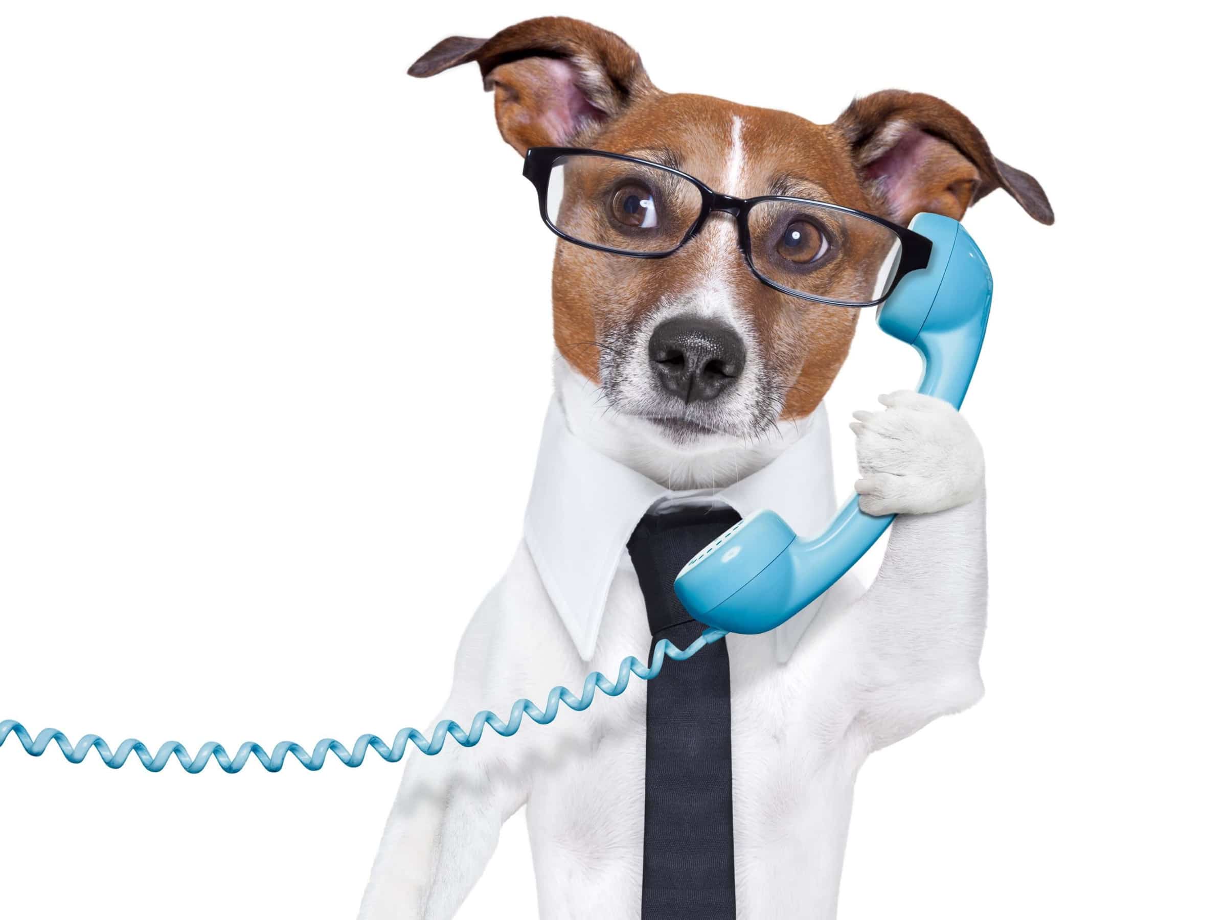 small business phone systems