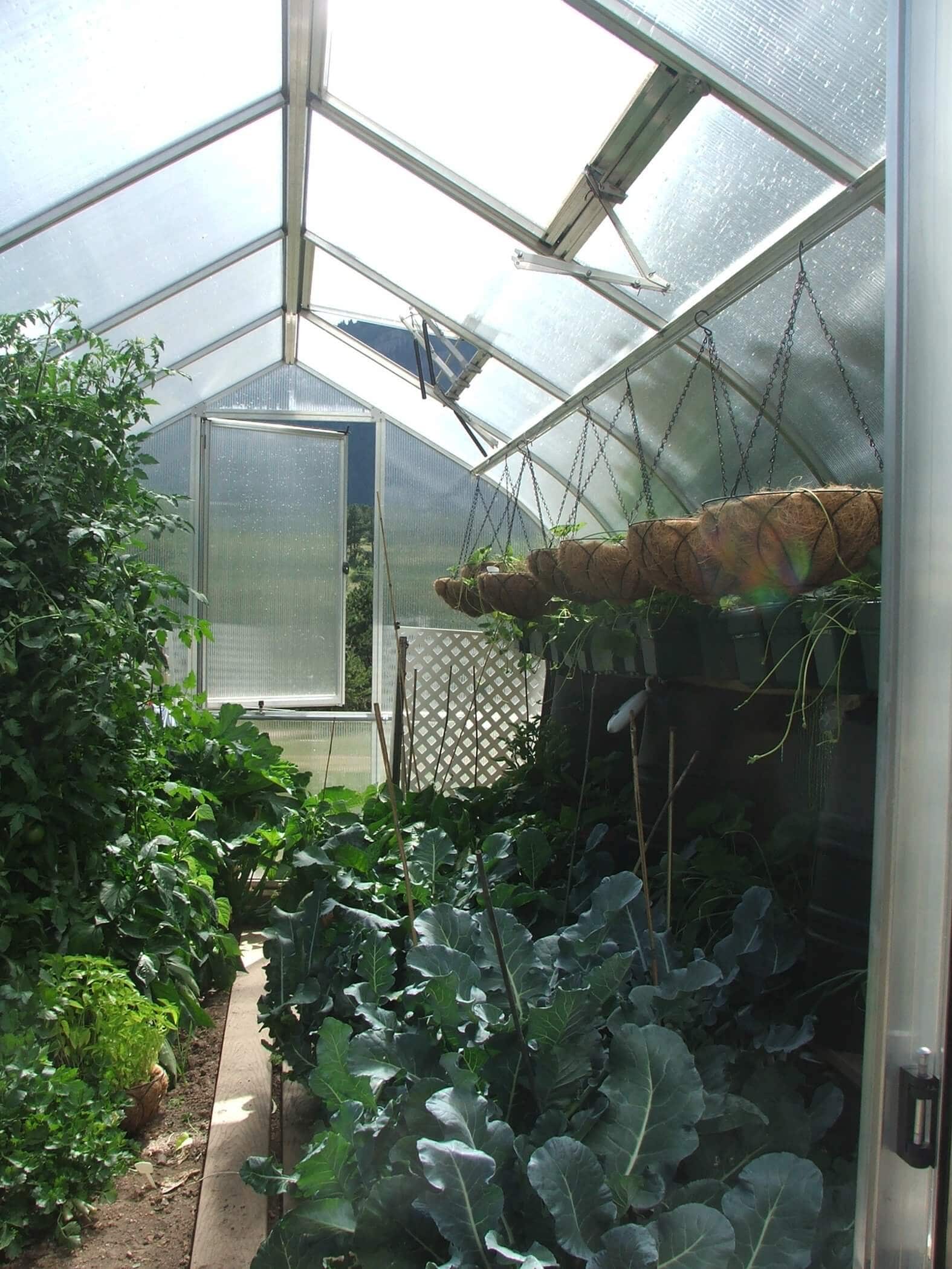 greenhouse cost in colorado