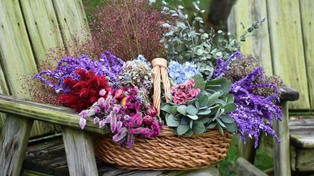 Best filler for a cut flower garden Longfield Gardens