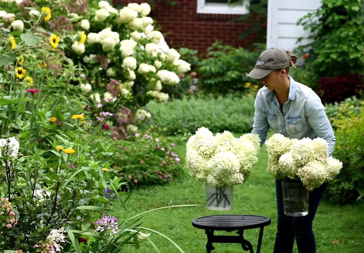 How to Get the Longest Vase Life from Fresh Cut Flowers - Longfield Gardens