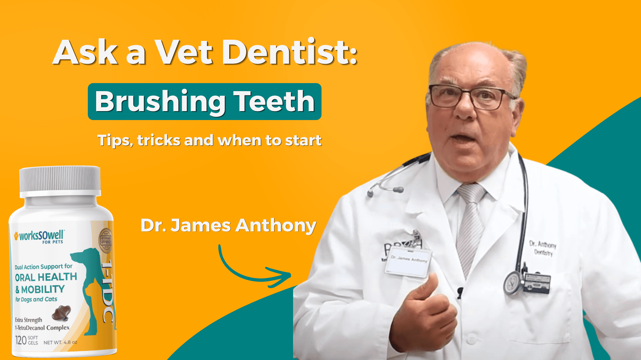 Ask a Vet Dentist: My Puppy Is Getting Tartar, Do I Need to Start Brushing?