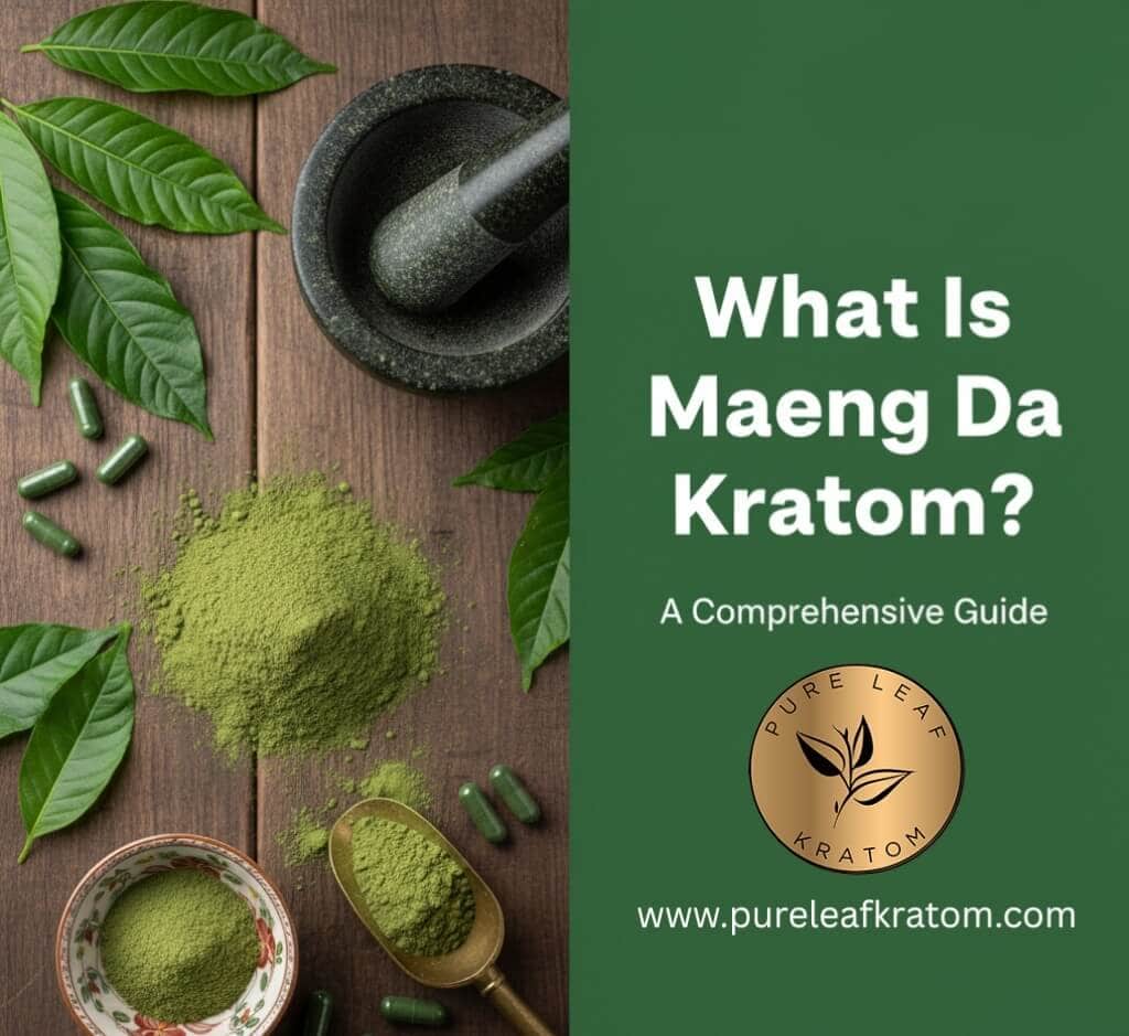 What Is Maeng Da Kratom? - A Comprehensive Guide