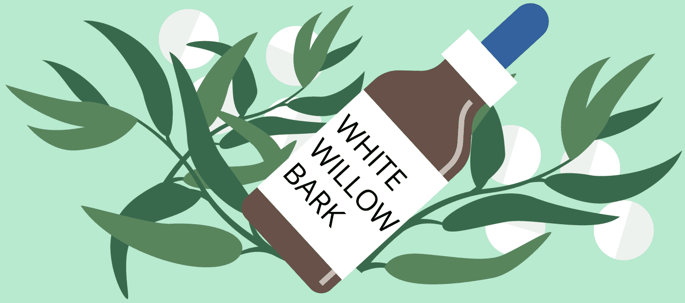 white willow bark benefits natural substitute for aspirin