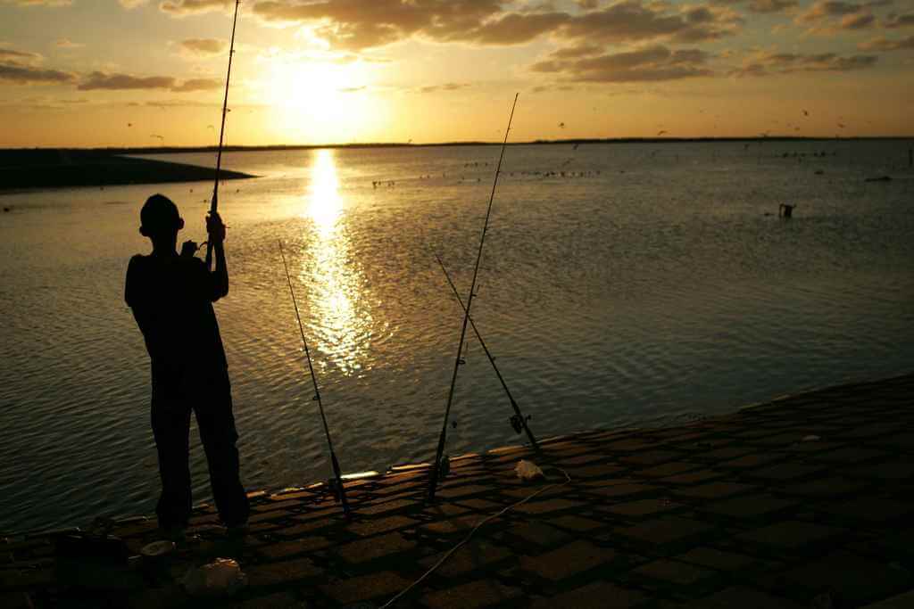 Fishing for Beginners: The Absolute Beginner's How To Guide for Fishing