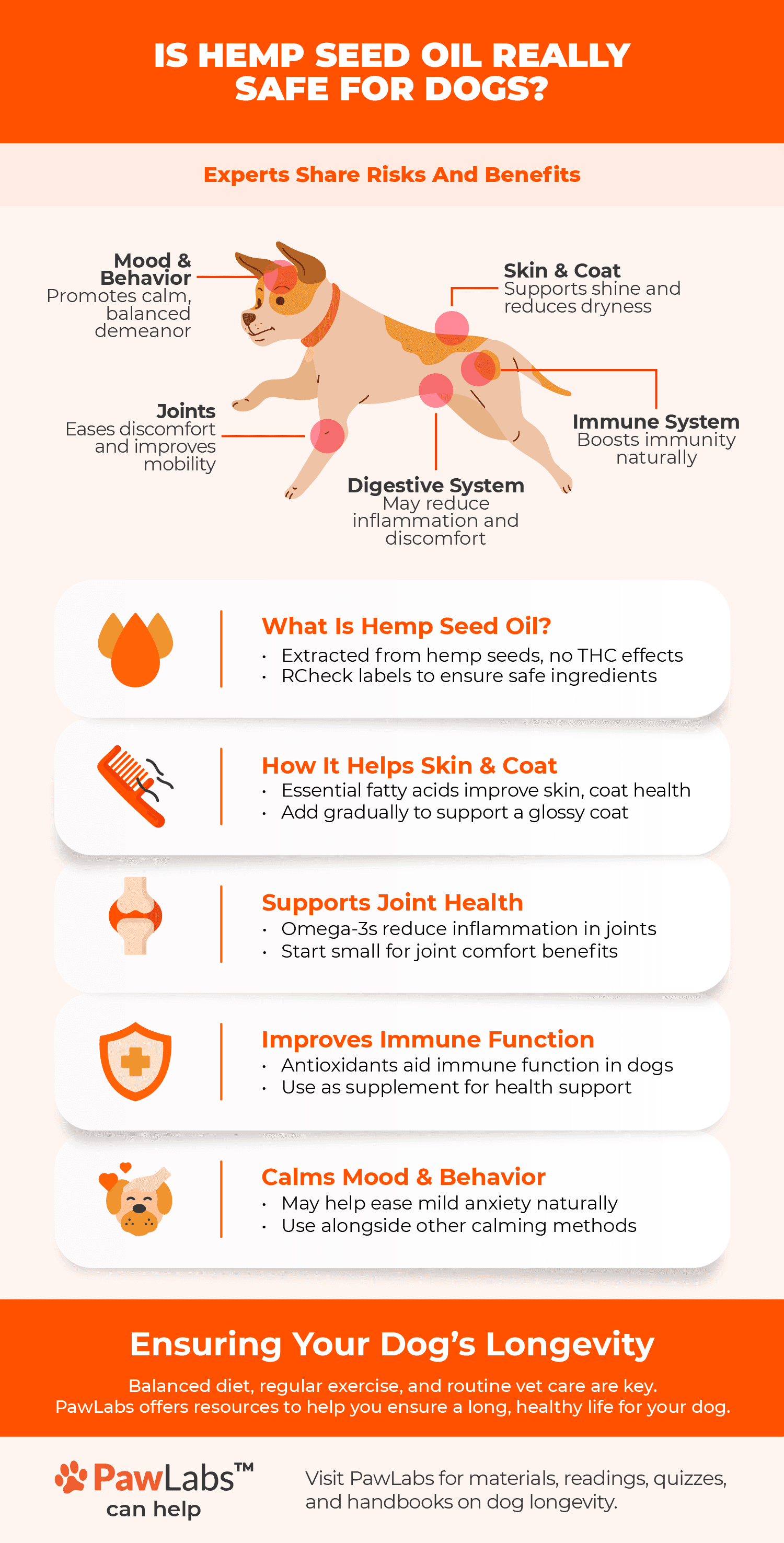 Infographic on hemp seed oil for dogs, showing benefits for skin, joints, mood, and immune health, along with safe usage tips.
