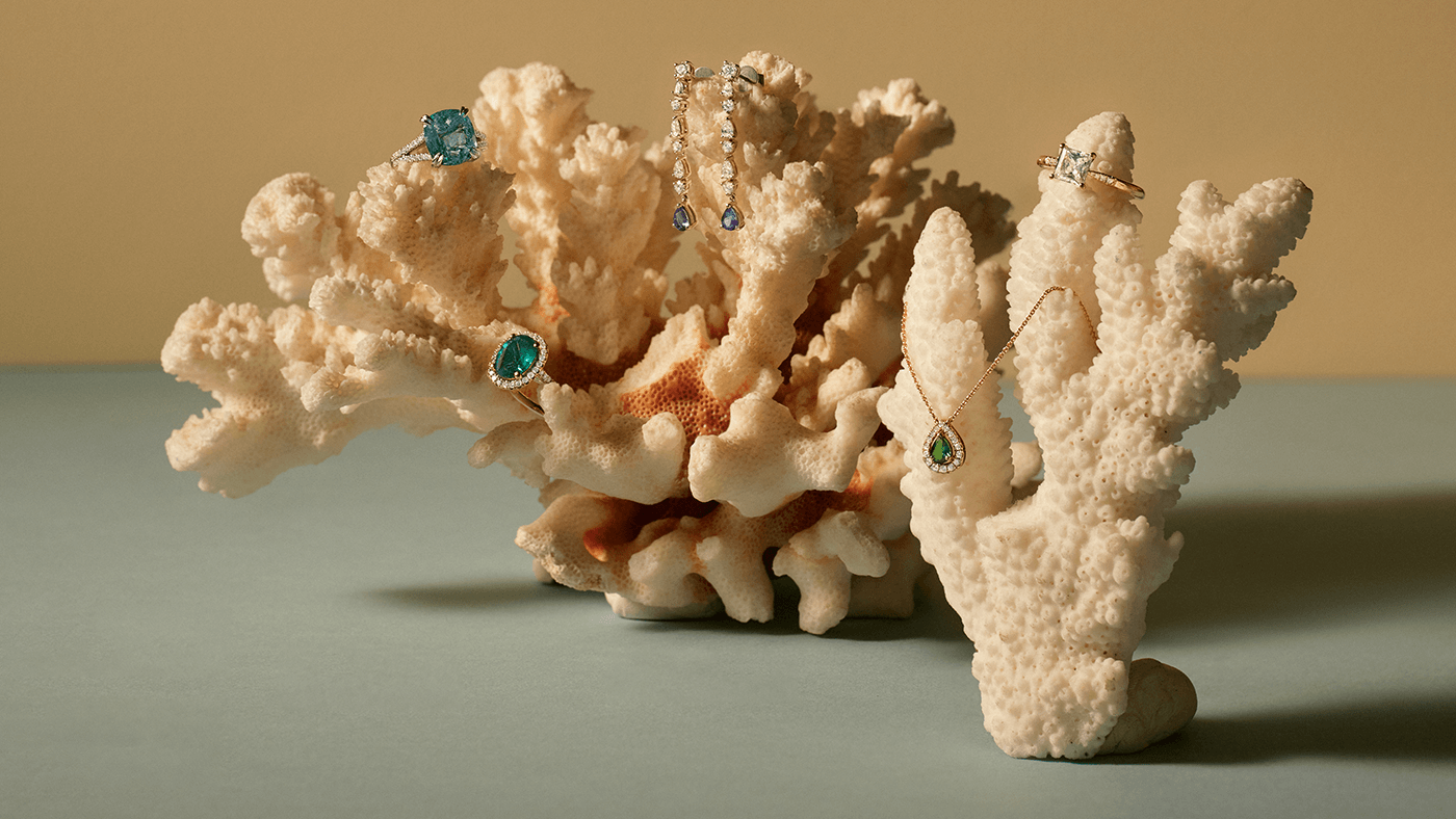 5 Reasons Why Our Gaia Collection Is Perfect For Autumn