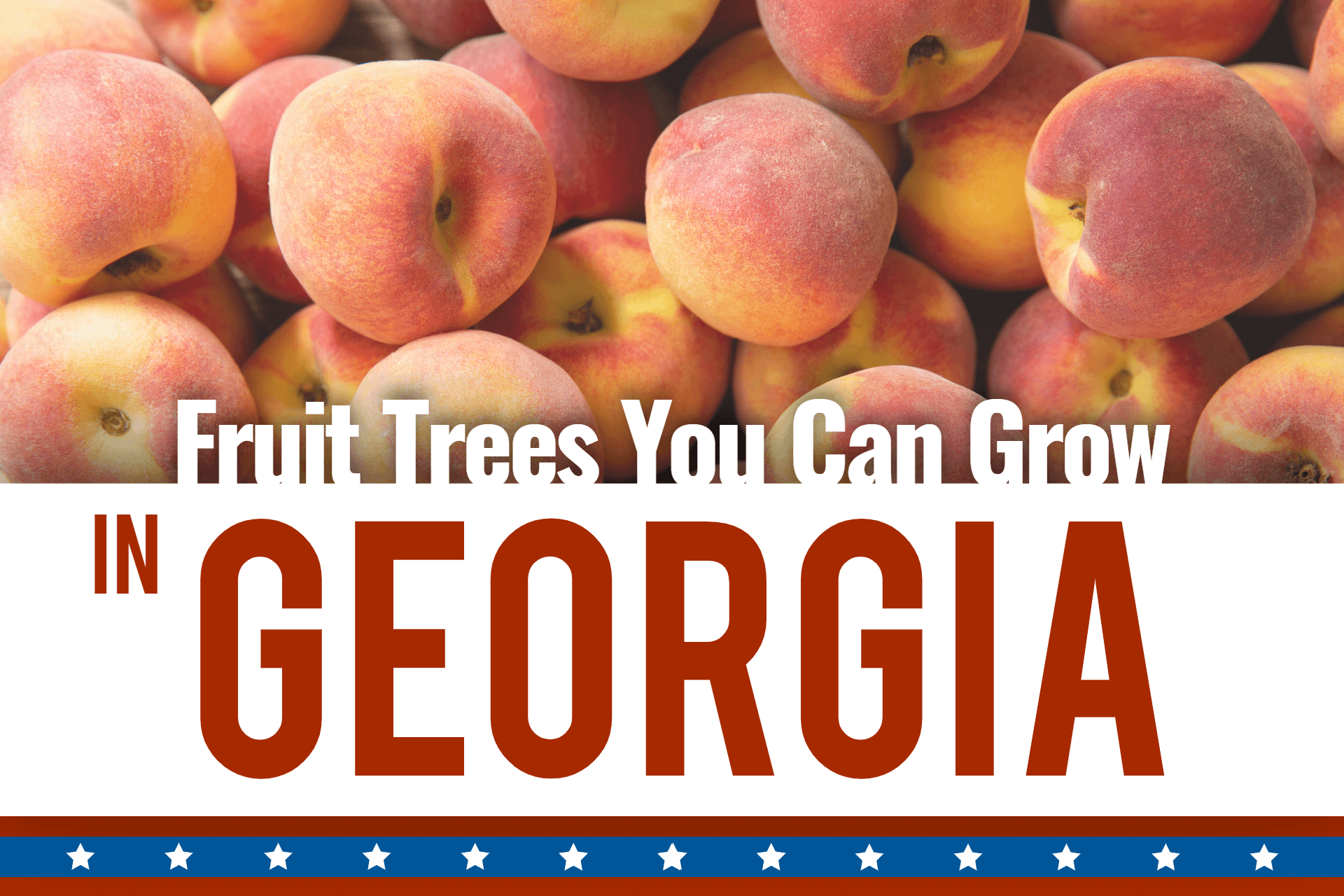 Georgia: Fruit Tree Growing Guide