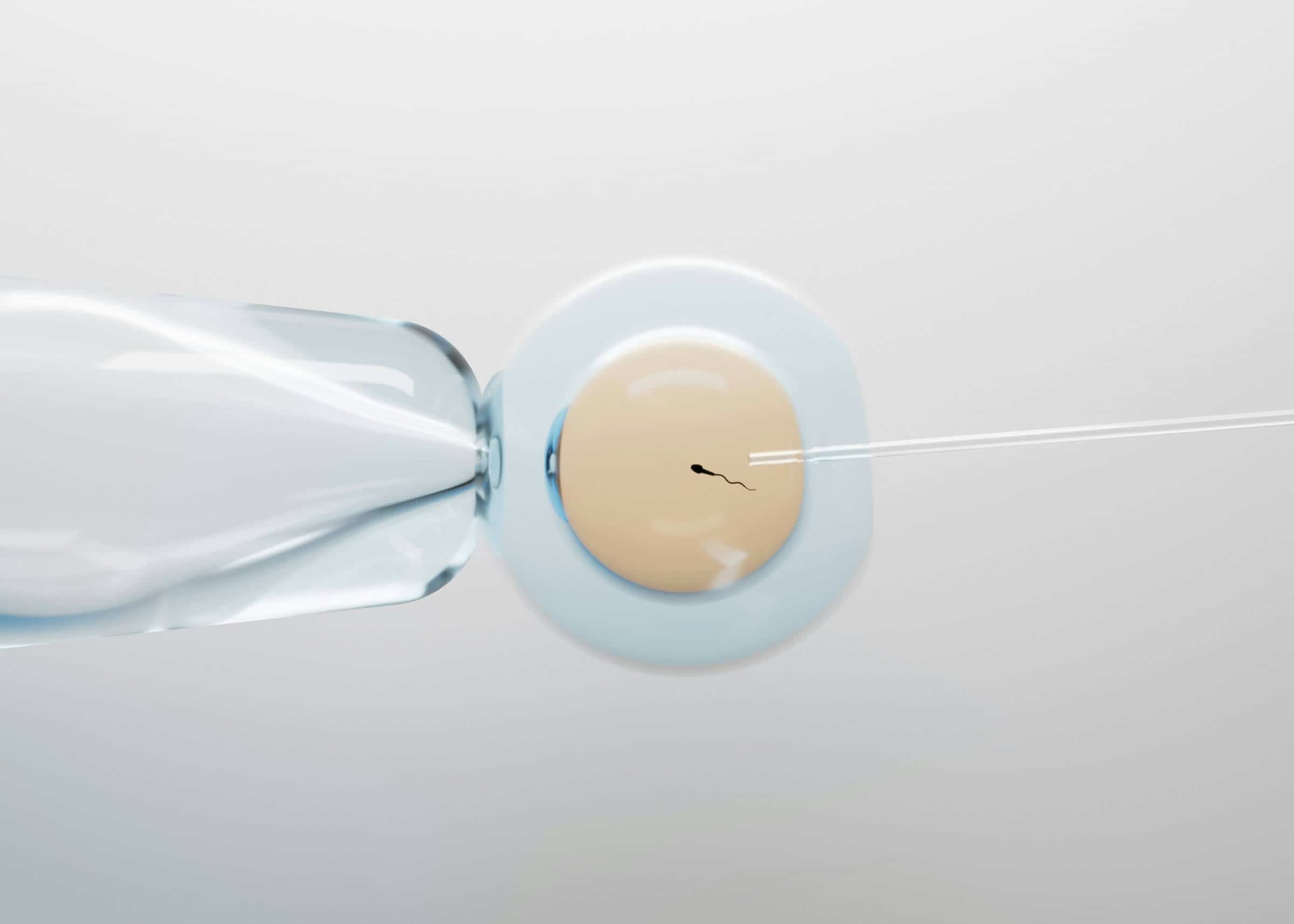 improve-sperm-motility