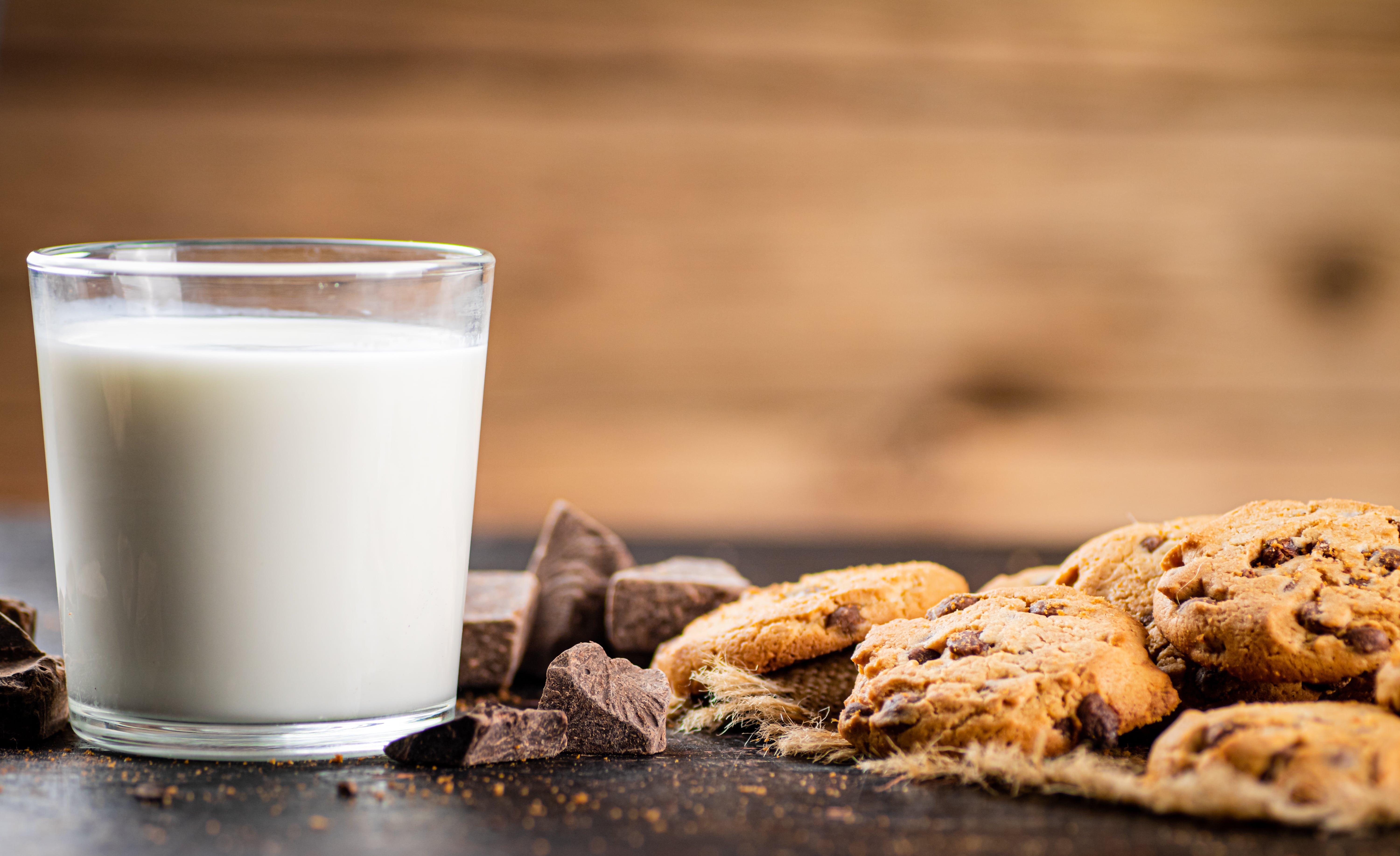 Camel milk products