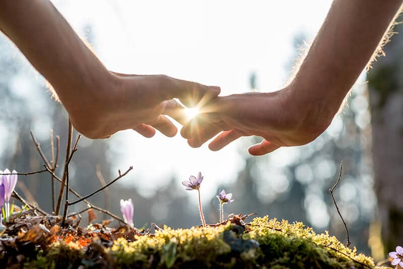Peace and Prosperity Re-emergence