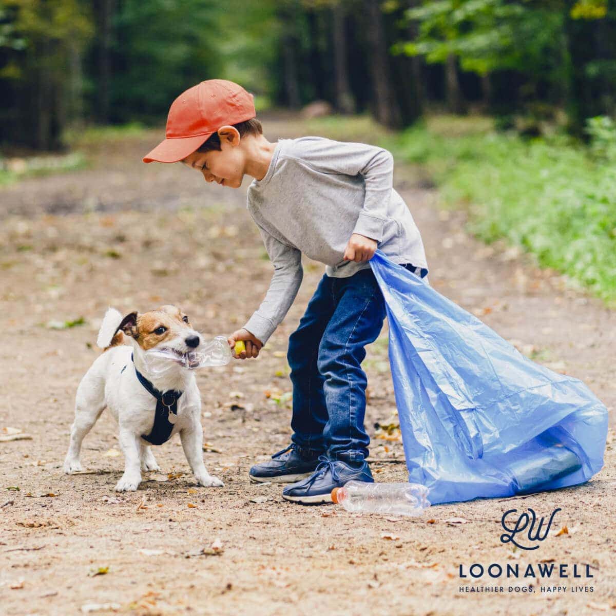 Plastic: Is It A Threat To Our Dogs Now?