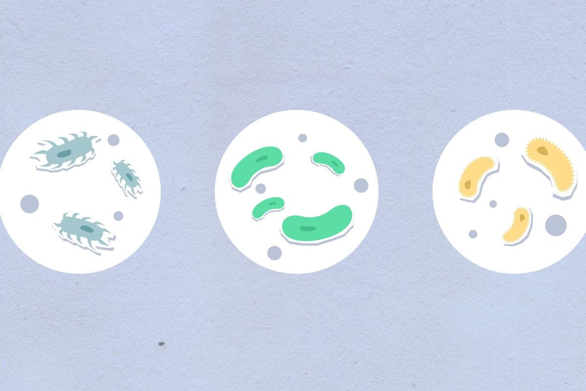 Eco-friendly cleaning products