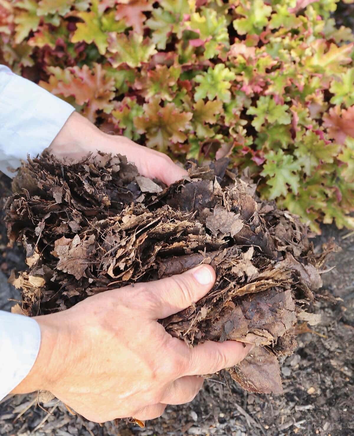 Best Mulch for Flower Gardens - Longfield Gardens