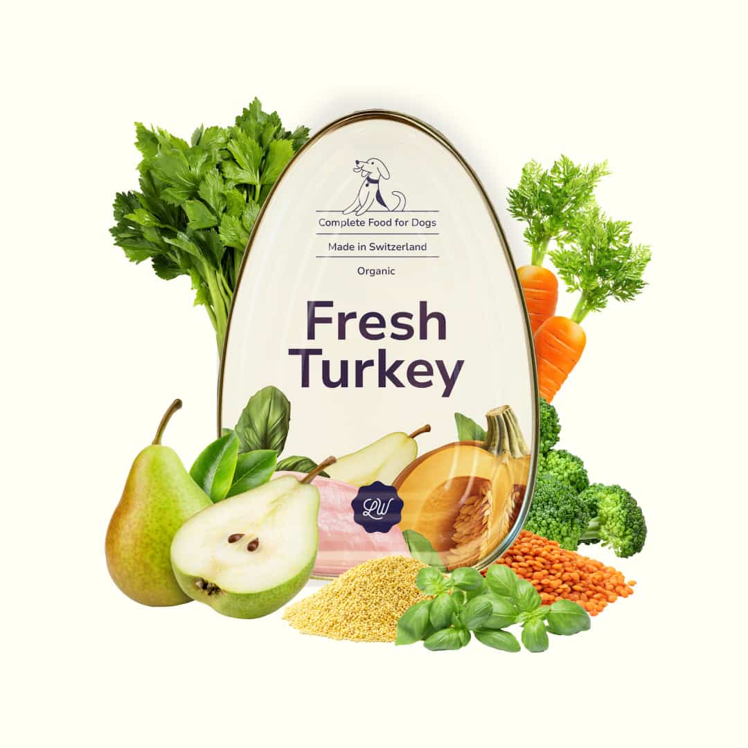 Elevating the Ordinary: The Story Behind LOONAWELL's Organic Fresh Turkey Complete Food for Dogs