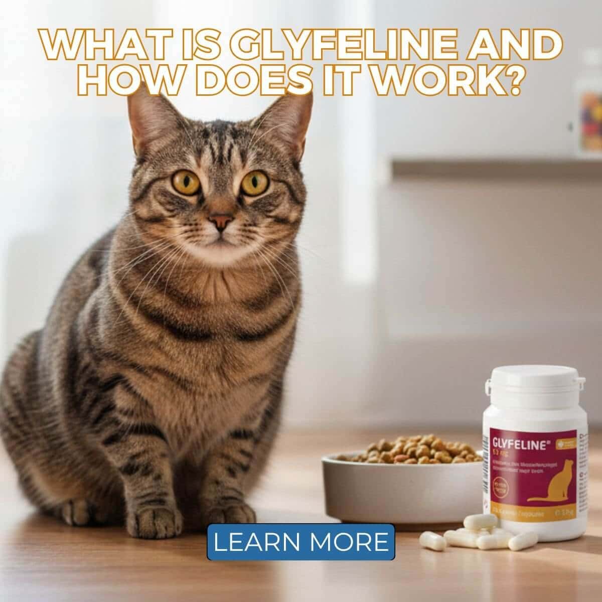 What is Glyfeline and How Does it Work?