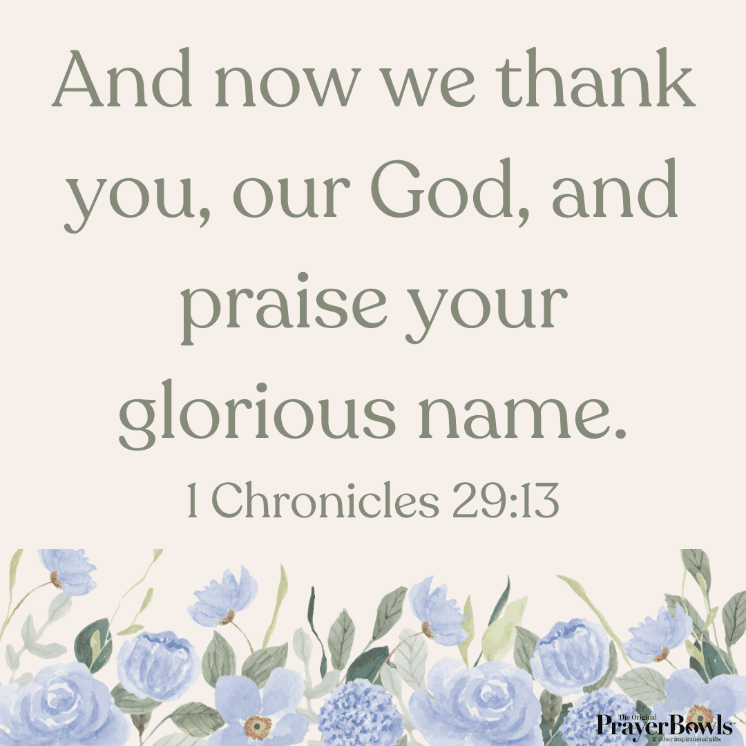 1 Chronicles 29:1- A Prayer Of Thanks