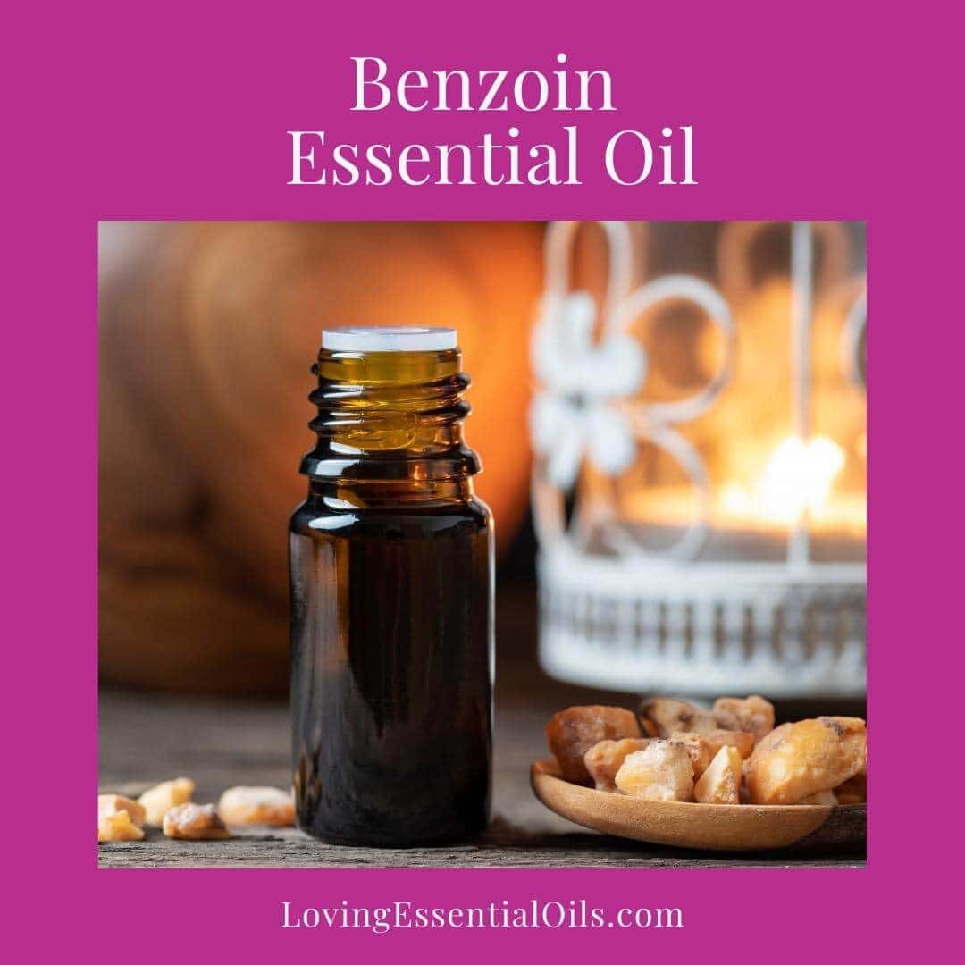 Benzoin, a resin oil, by Loving Essential Oils