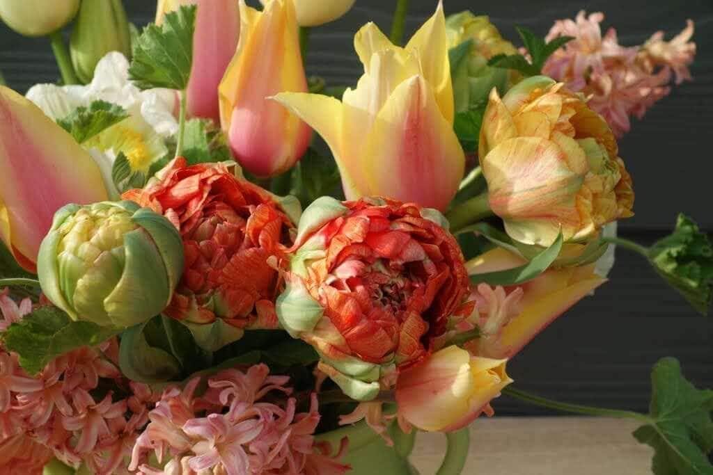 Using a Cutting Garden for Spring Flower Arrangements - Longfield Gardens