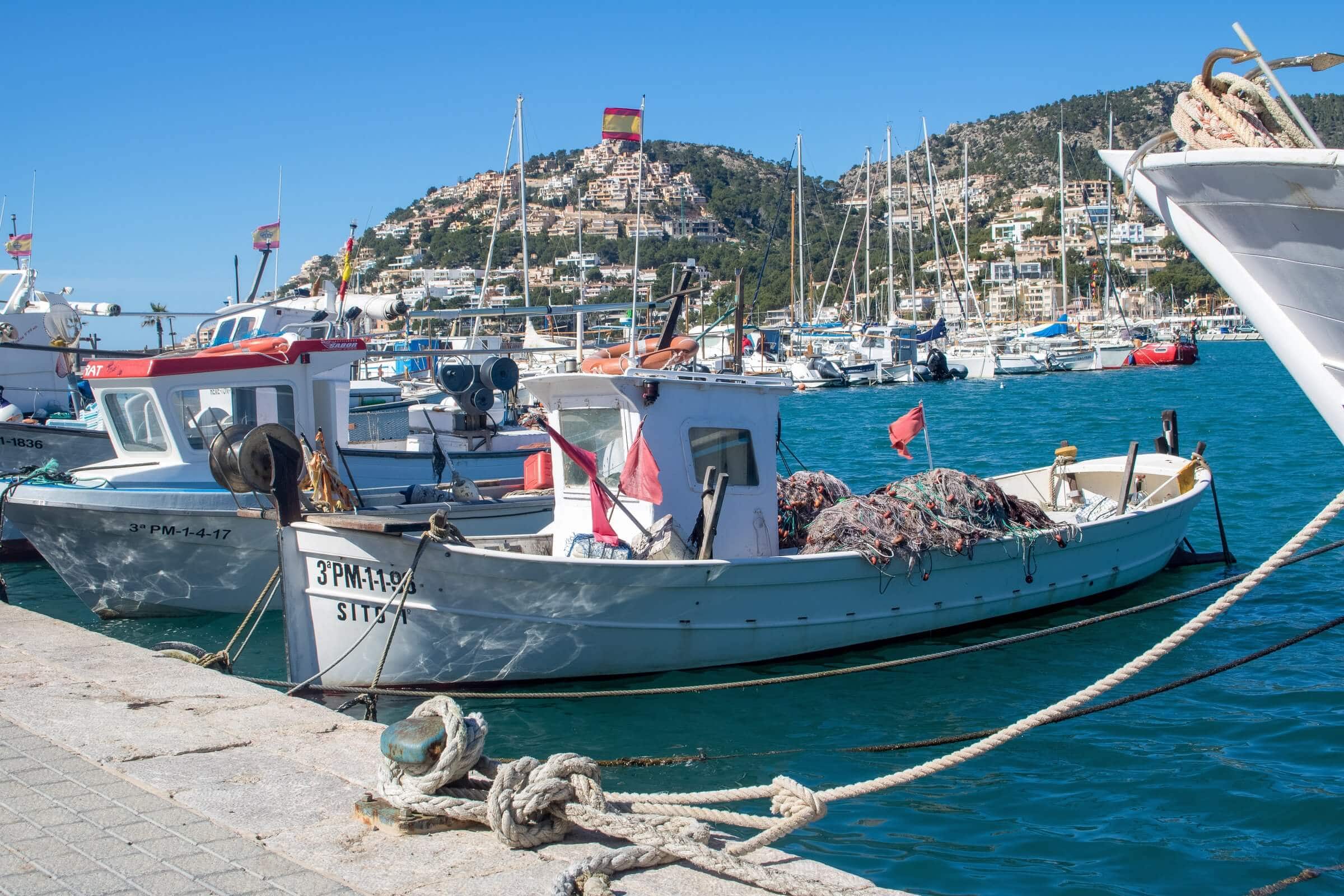 Port d'Andratx: The Complete Area Guide for Buyers and Residents