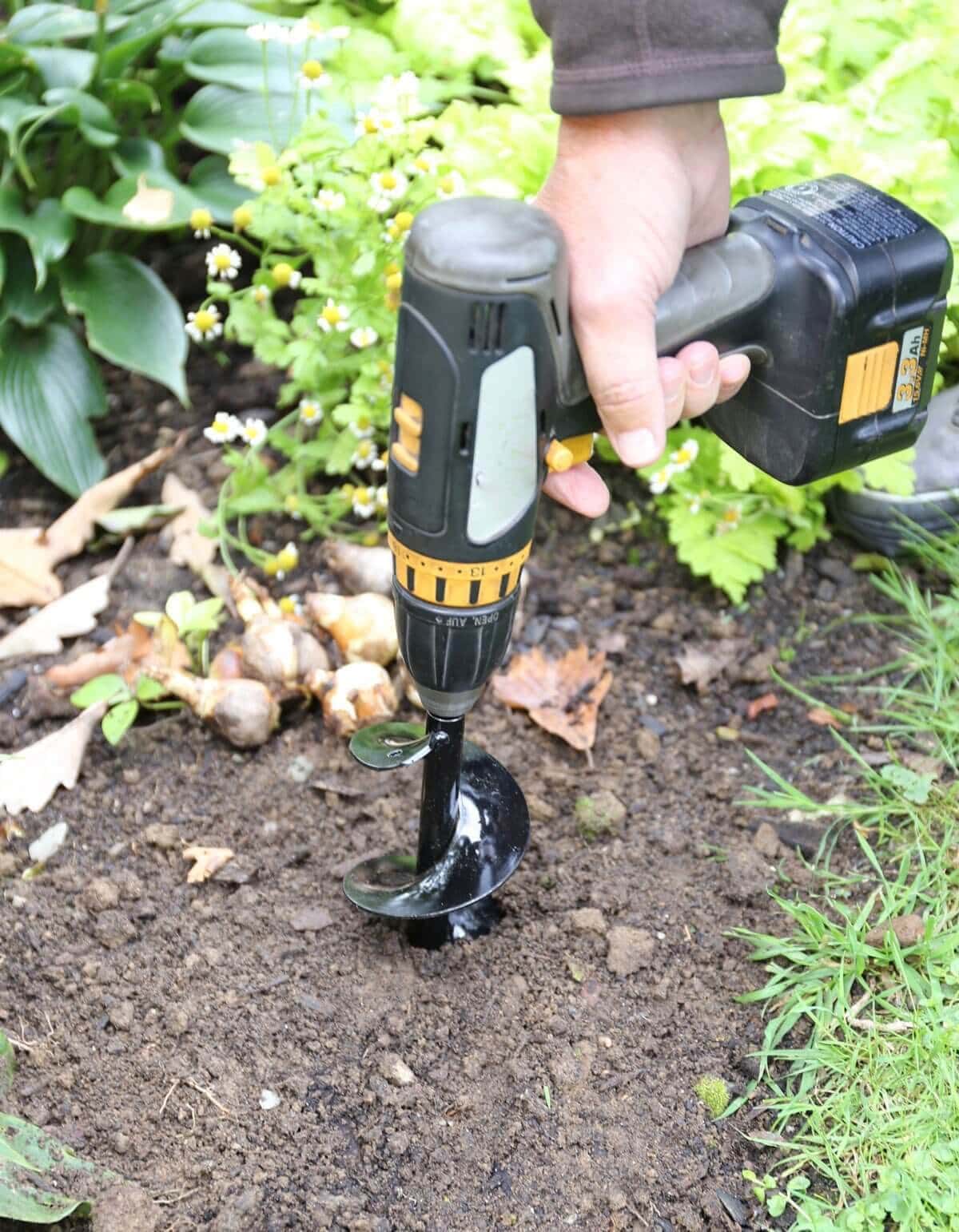 Planting Flower Bulbs with a Soil Auger and Power Drill - Longfield Gardens