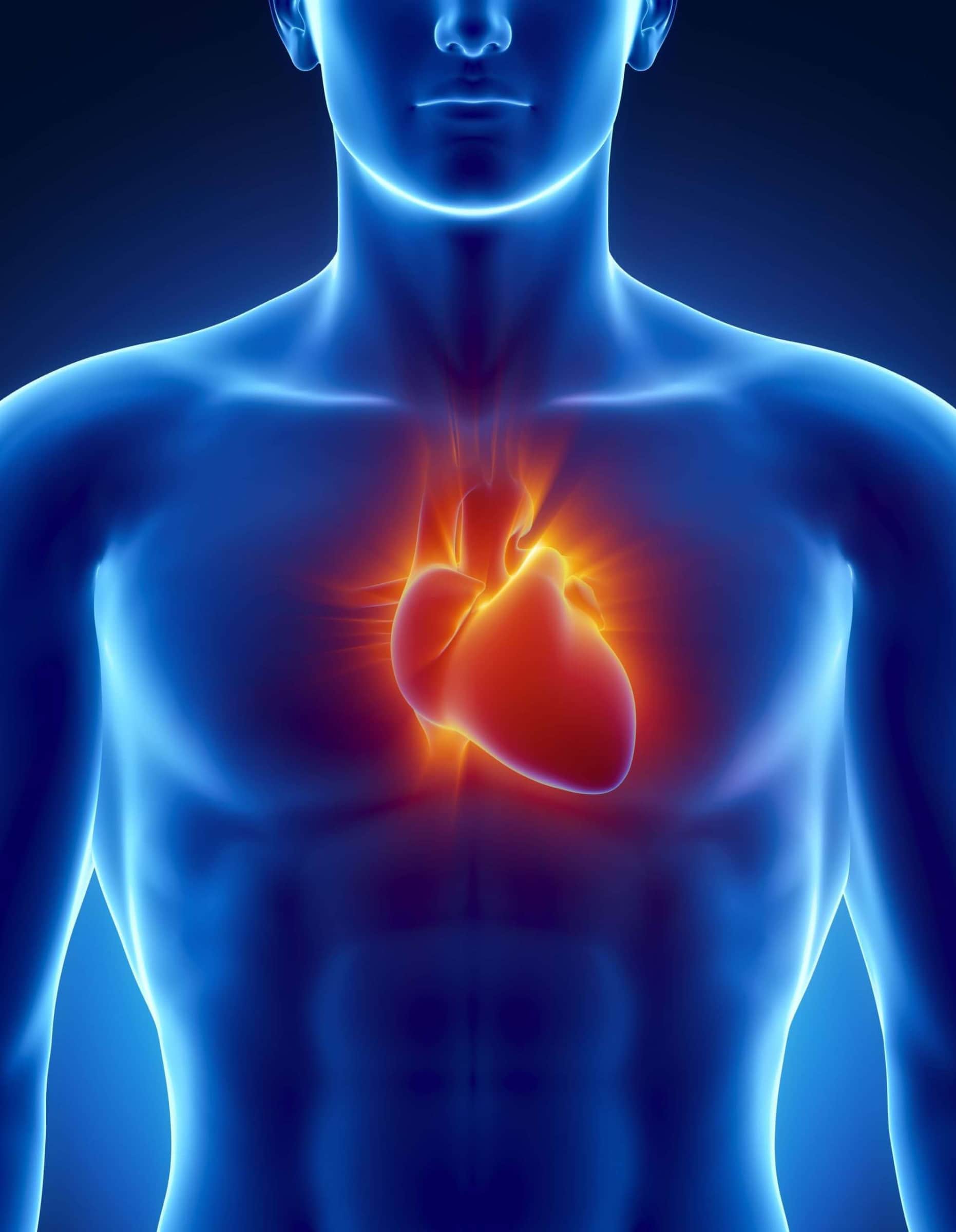 Your Physical Body (Part-2 of a four-part series)