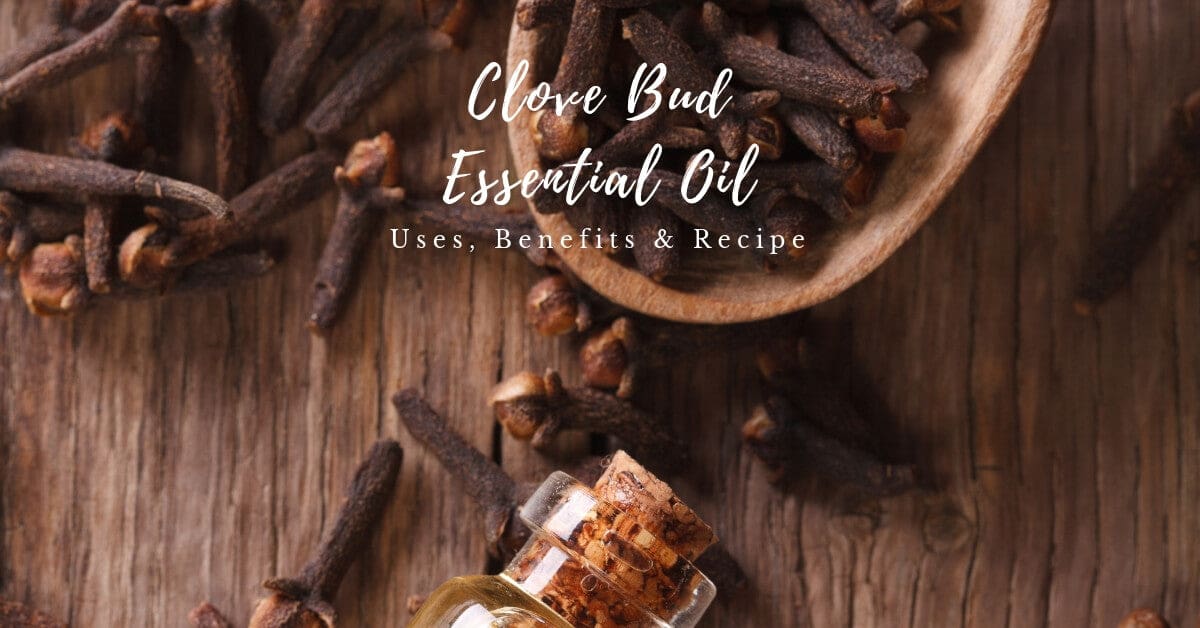 Clove essential oil to mix with tea tree in a diffuser