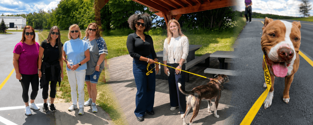 ILLING Packaging was Walking on Sunshine for 3 Amazing Causes!
