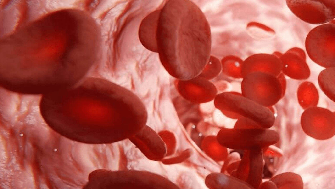 Nattokinase for Cholesterol