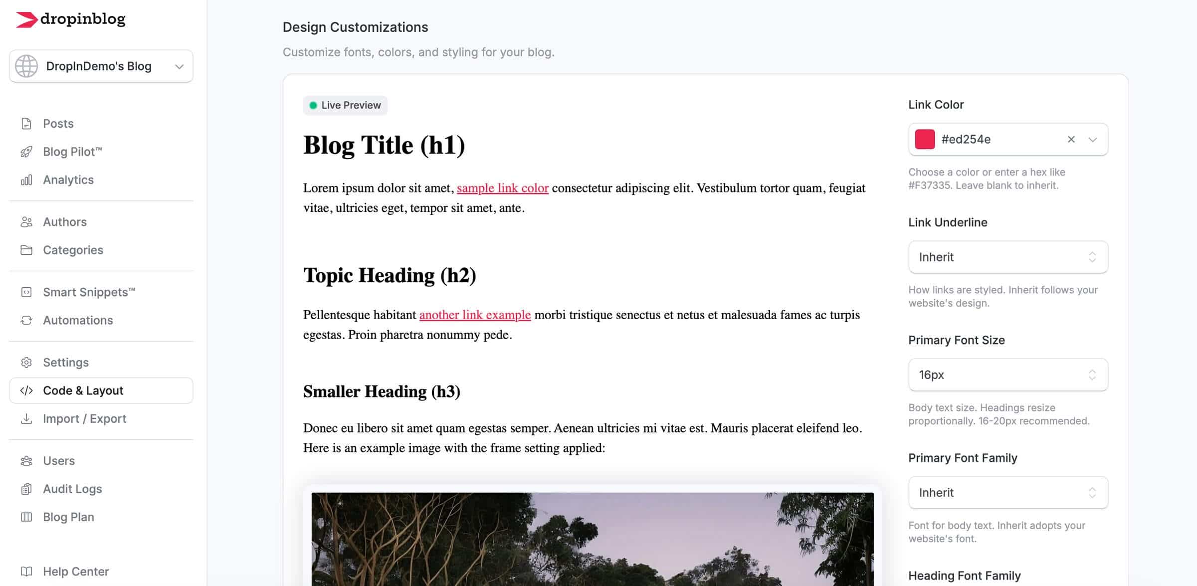 Design customizations in DropInBlog