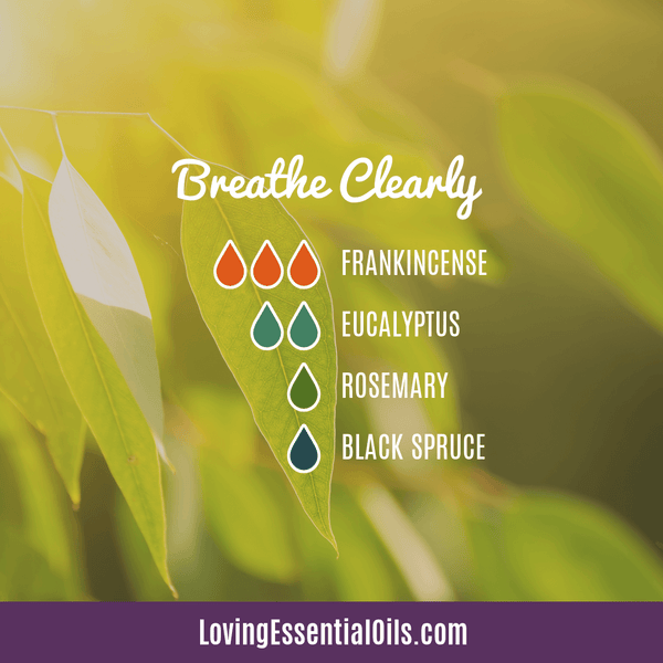 Breathe Clearly diffuser blend with frankincense, eucalyptus, rosemary and black spruce
