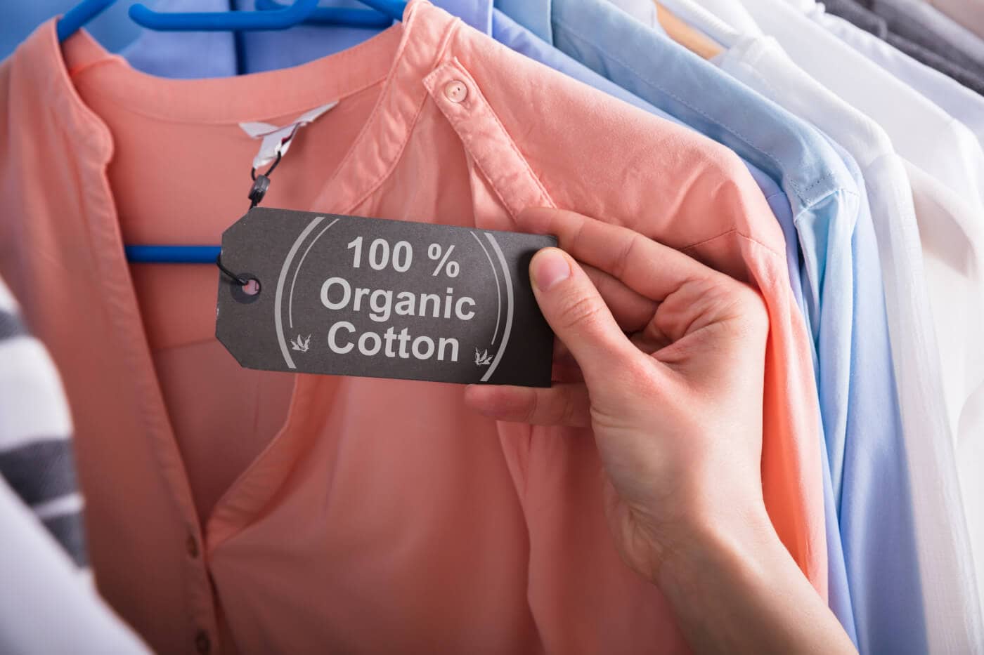 Best Organic Clothing Brands For You – Nori Press