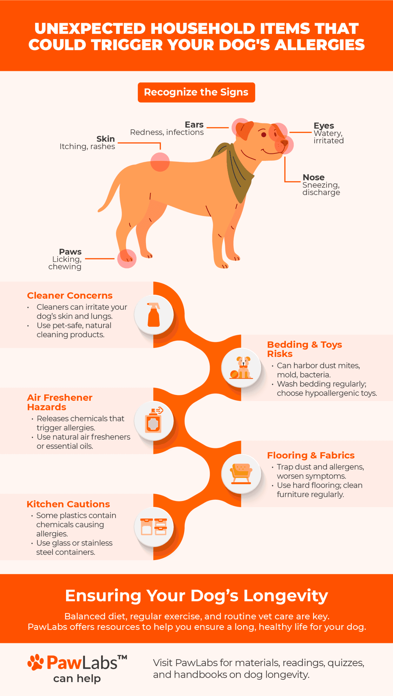 infographic dog allergies