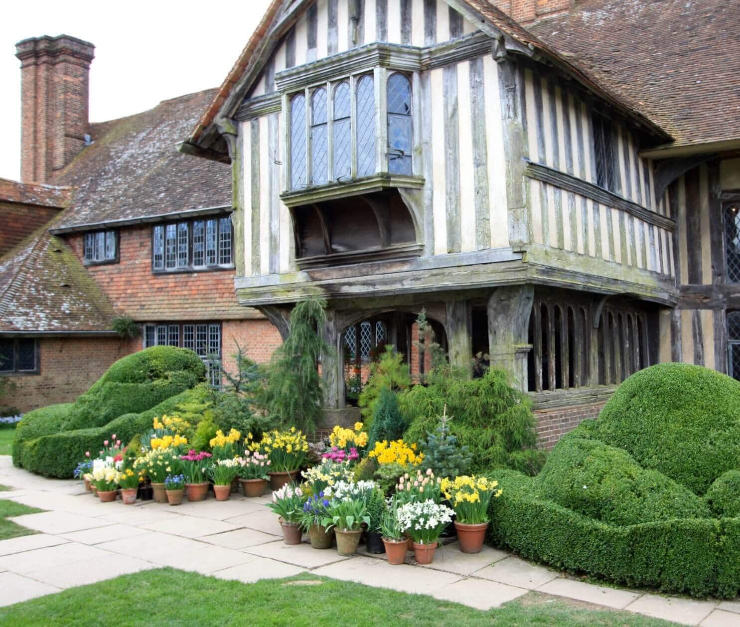 How to Group Container Plants Tips from Great Dixter - Longfield Gardens