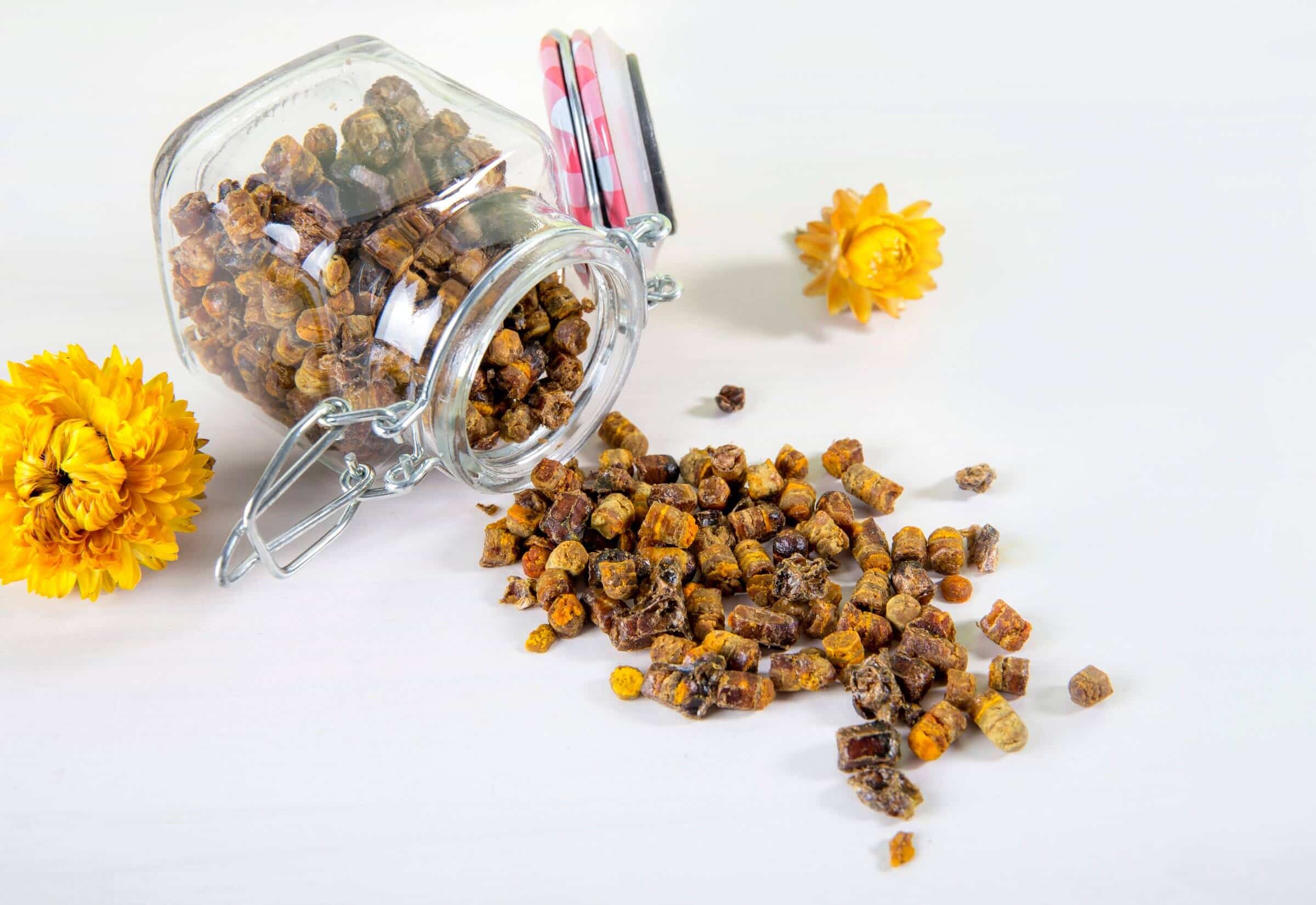 Understanding Bee Bread: The Superfood of the Hive