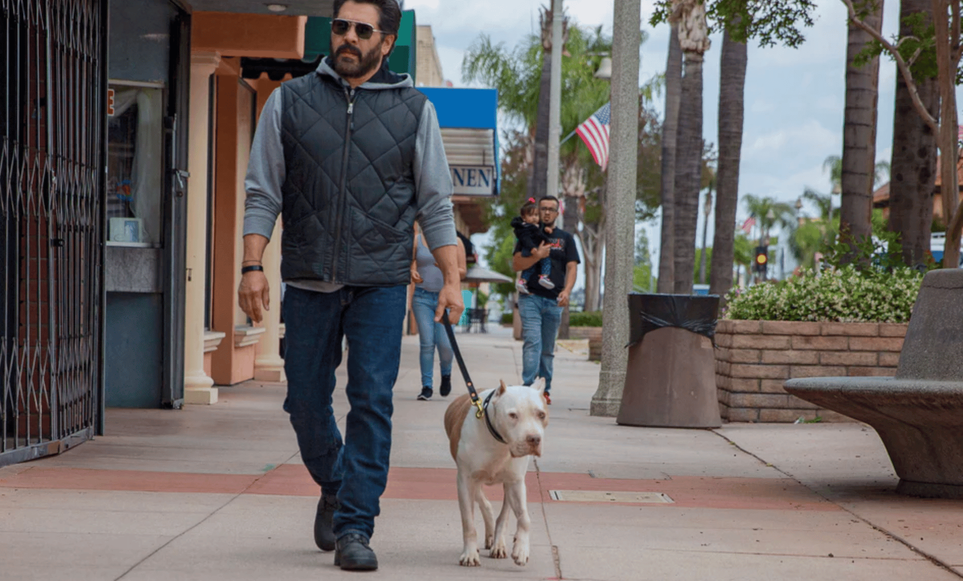 What Is a Traffic Leash for Dogs?