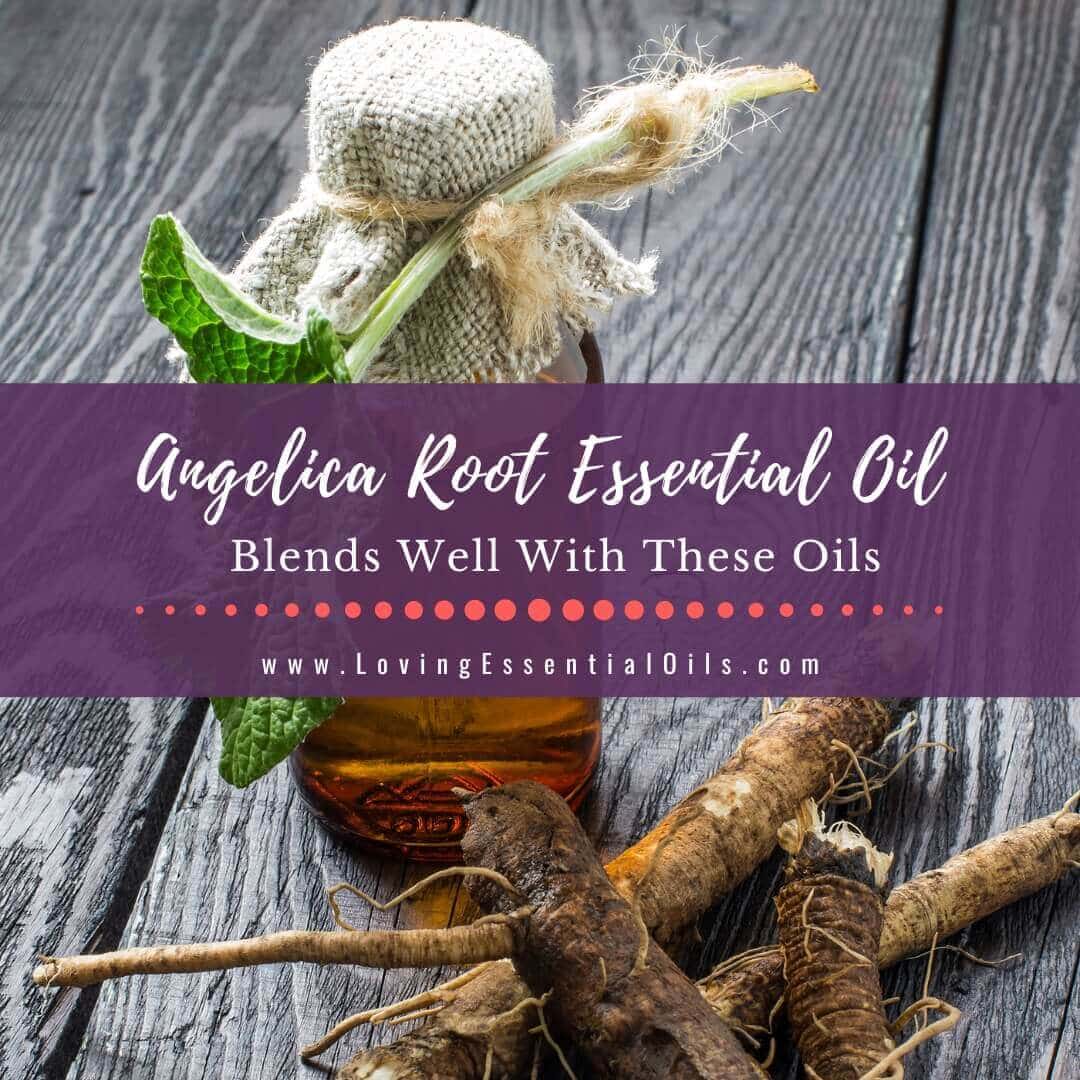 Angelica Root Blends Well With These Oils + Diffuser Blends