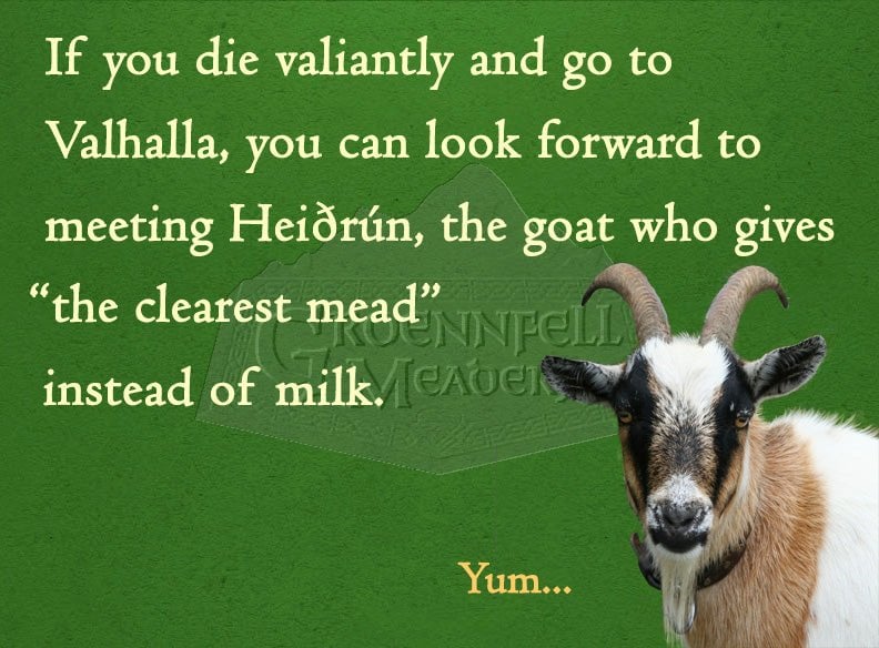 Thursday Fun Fact 8-15: Heiðrún