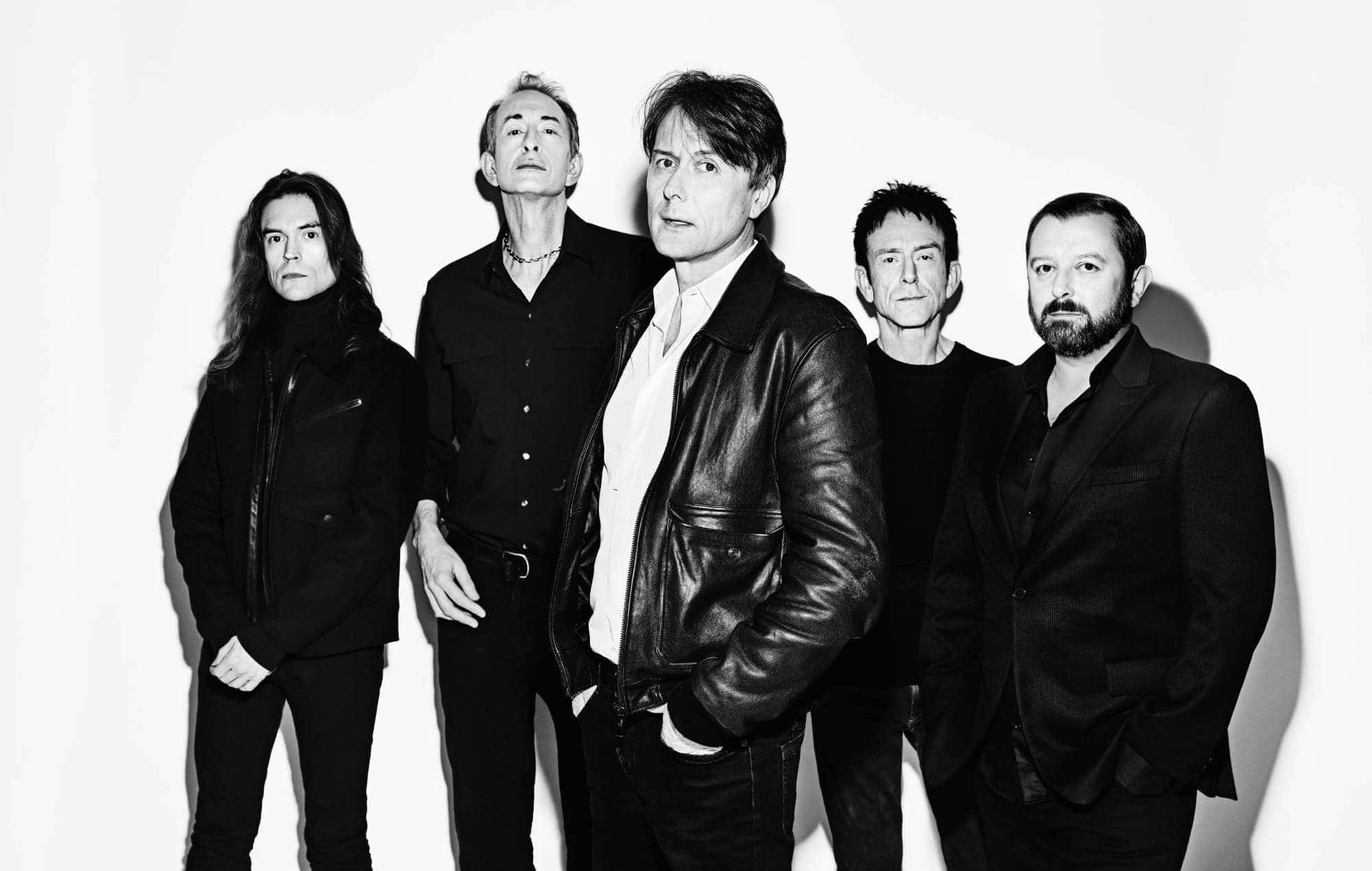 Suede. CREDIT: Dean Chalkley